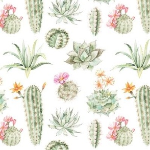 cactus watercolor