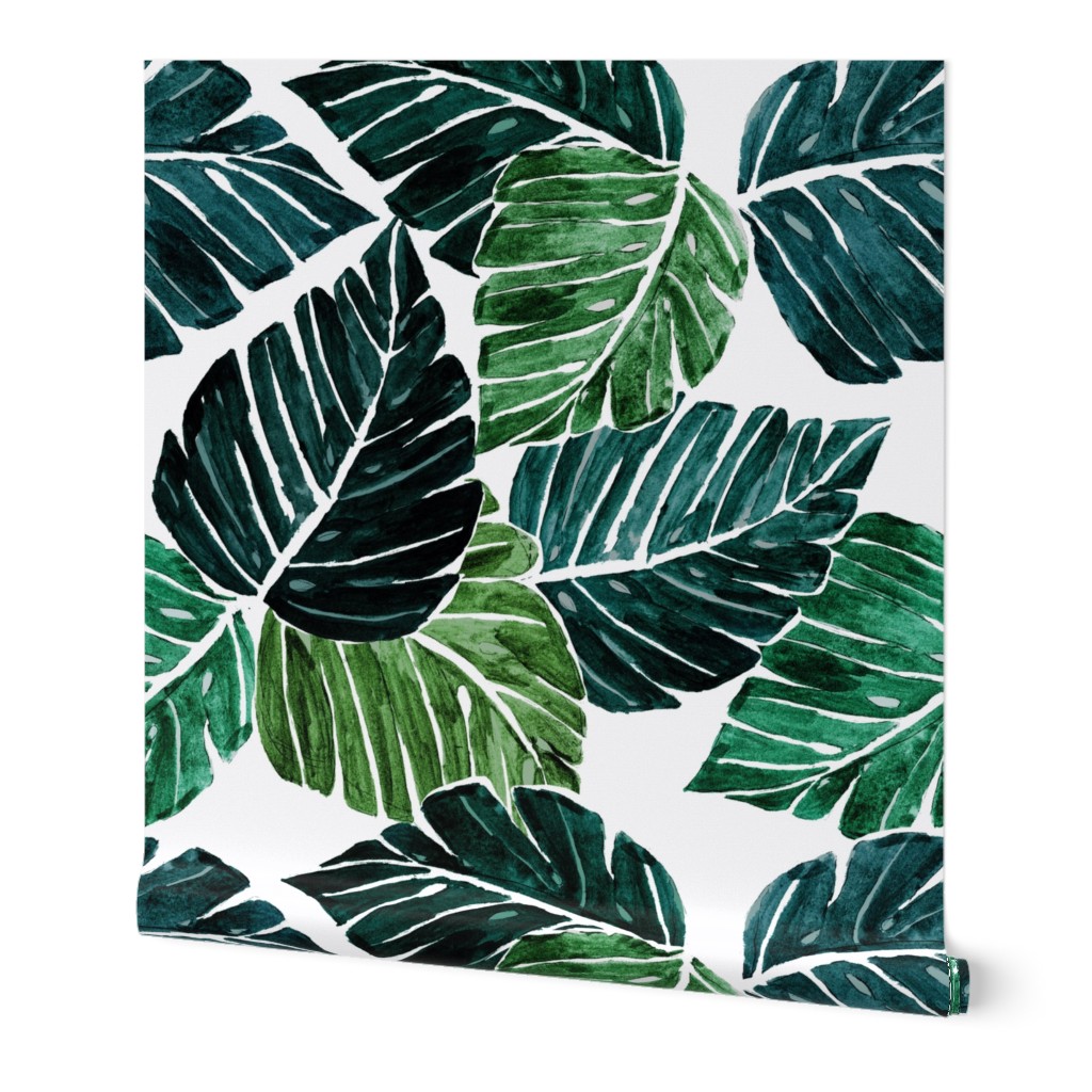 Monstera Leaves rotate