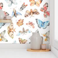 watercolor butterflies and moths