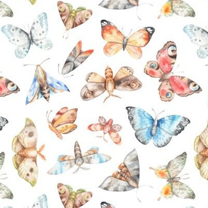 watercolor butterflies and moths
