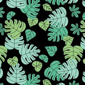 Monstera