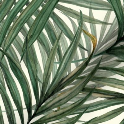 Palm_Leaves__King_Pineapple_