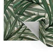 Palm_Leaves__King_Pineapple_