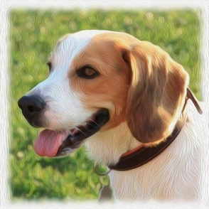 beagle - painted