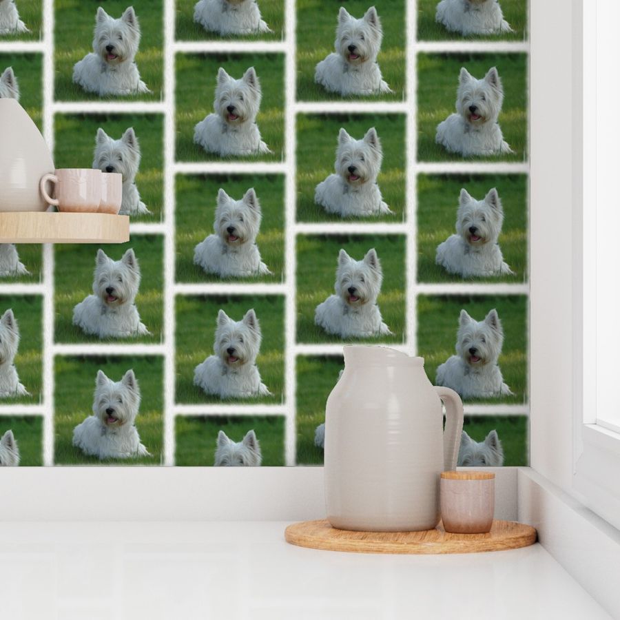 west highland terrier - painted