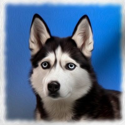 husky - painted