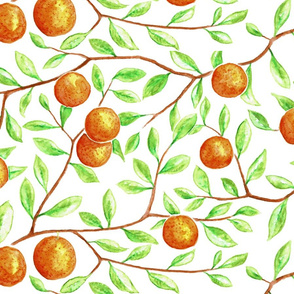 oranges in the tree (white)