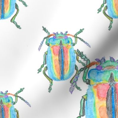 Rainbow Beetle Watercolor