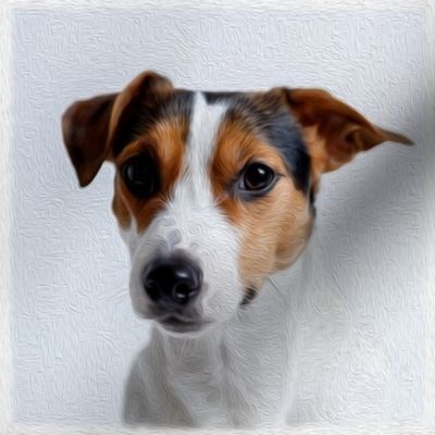 parson russell terrier - painted