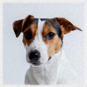 parson russell terrier - painted