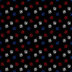 Ferret tracks - red white blue on black