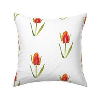 cestlaviv_tulip_no2_small