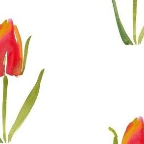 cestlaviv_tulip_no2_small