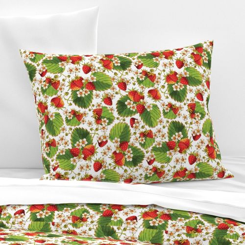 HOME_GOOD_STANDARD_PILLOW_SHAM