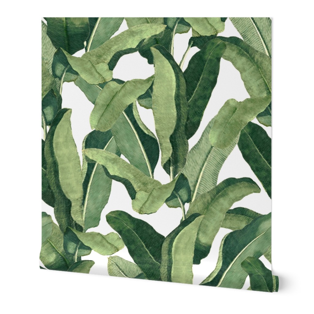 Tropical Leaves