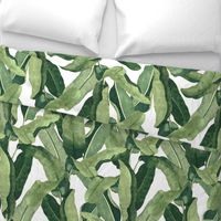 Tropical Leaves