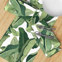 Tropical Leaves