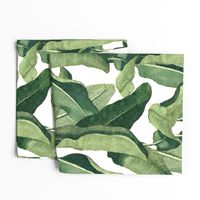 Tropical Leaves