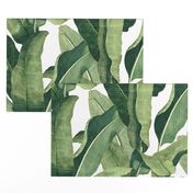 Tropical Leaves