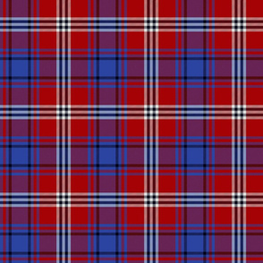 Ainslie family tartan, 6"