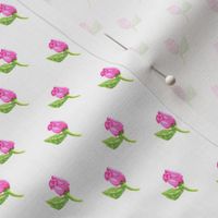 Tiny Rosebuds on White