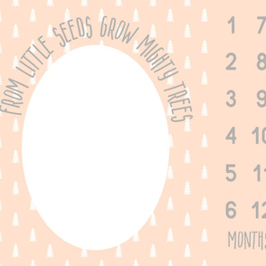 from little seeds - monthly picture blanket - blush