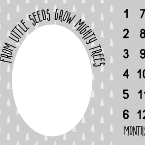 from little seeds - monthly picture blanket - grey