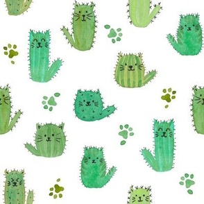 Cat-cus! Cactus cats and paws