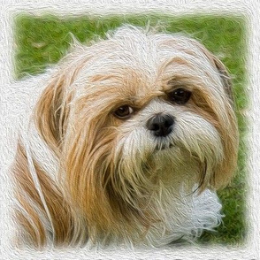 shih tzu - painted