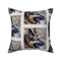 german shepherd - painted