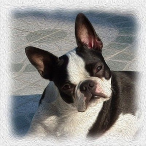 boston terrier - painted