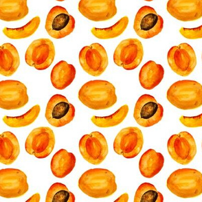 Watercolor apricots