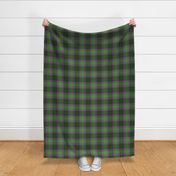 Crantock tartan - 6" modern bright