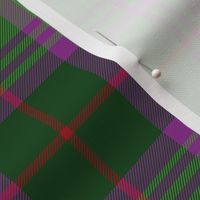 Crantock tartan - 6" modern bright