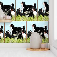 BERNESE MOUNTAIN DOGS IN THE GRASS