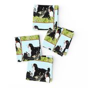 BERNESE MOUNTAIN DOGS IN THE GRASS
