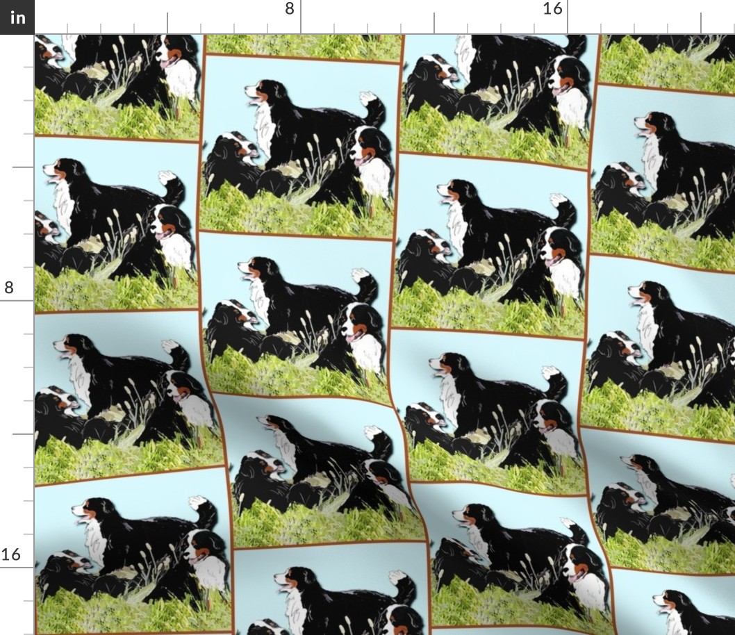 BERNESE MOUNTAIN DOGS IN THE GRASS