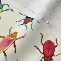 Bright Watercolor Beetles