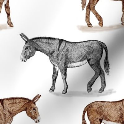 2_donkeys