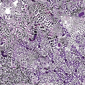 Leopard Spots in Violet LARGE