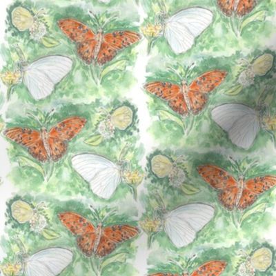 Three Butterflies Watercolor Stripe