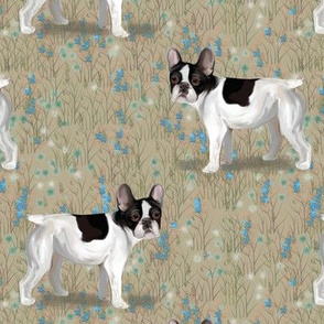 French Bulldog in Wildflower Field on Beige