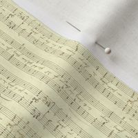 Haydn's seamless handwritten sheet music - small