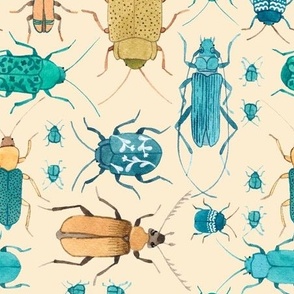 beetles