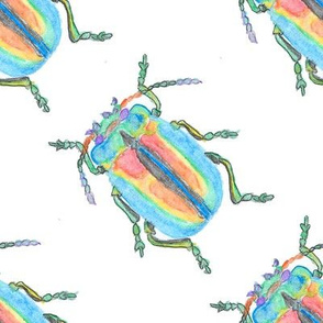 Rainbow Beetle Watercolor Army