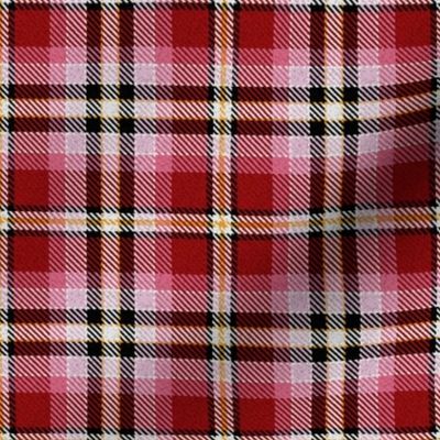 Red Pink Yellow Black and White Plaid