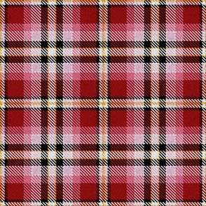 Red Pink Yellow Black and White Plaid