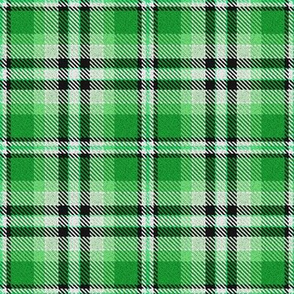 Green Black and White Plaid