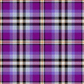 Violet Lavender Yellow Black and White Plaid