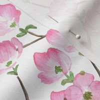 Pink Watercolor Dogwood Flowers